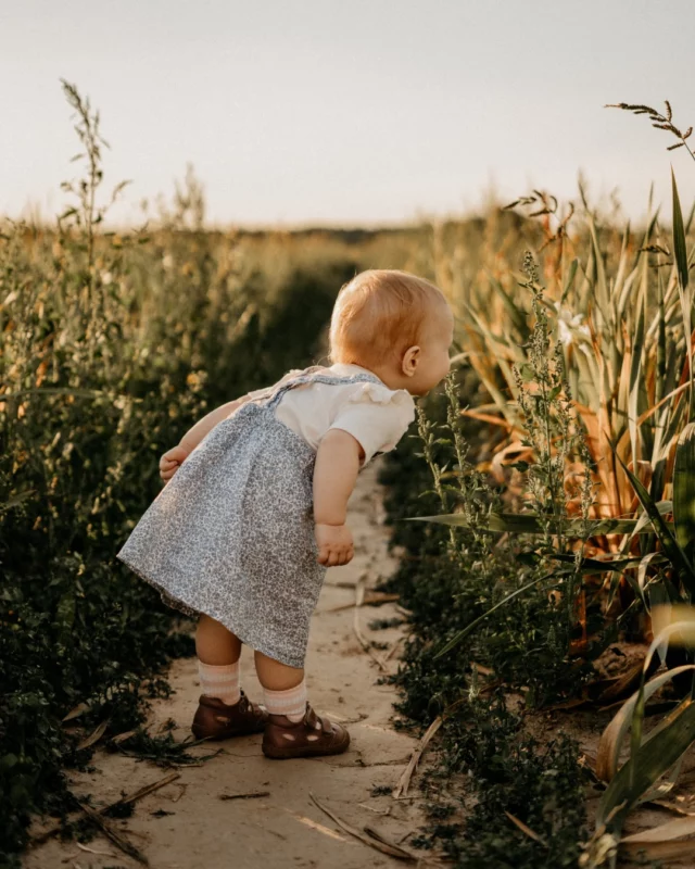 EIN TAG IM SP&Auml;TSOMMER ☀️🌻🌺

Vor einem Jahr &ndash; die Sonne war nochmal da, wir haben uns unsere Kameras geschnappt und sind losgezogen. Auch wenn nicht mehr so viele Blumen da waren, war es wundersch&ouml;n und ein kleines Abenteuer als Familie.

Wenn wir uns die Bilder jetzt anschauen - ein Jahr sp&auml;ter - k&ouml;nnen wir kaum glauben, was sich in diesem Jahr schon wieder alles getan & ver&auml;ndert hat. Wie gro&szlig; unsere kleine Tochter geworden ist, was sie alles gelernt hat. Umso dankbarer sind wir f&uuml;r diese Erinnerungen vom letzten Jahr, die uns f&uuml;r immer bleiben! &hearts;️🙏🏻✨
_________________
#familenfotos #kleineauszeit #familienfotograf #bergstra&szlig;e #odenwald